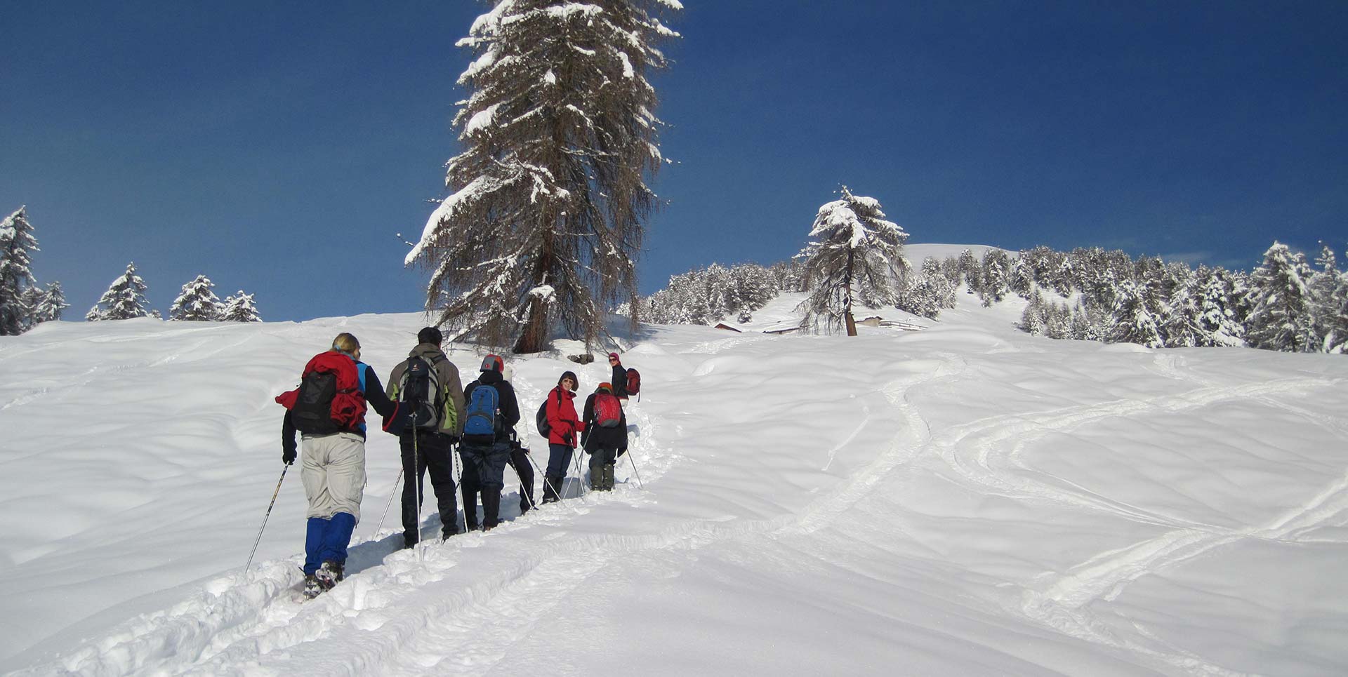 Sciare in Val di Sole